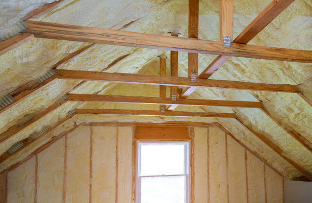 Best Insulation Maintenance and Repair in Williamsport, IN