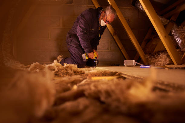 Types of Insulation We Offer in Williamsport, IN